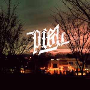 piel-cover-metalmania